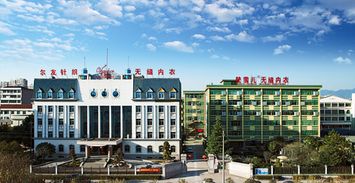 爾友針織 以“針”情“織”禮，端午關愛暖人心